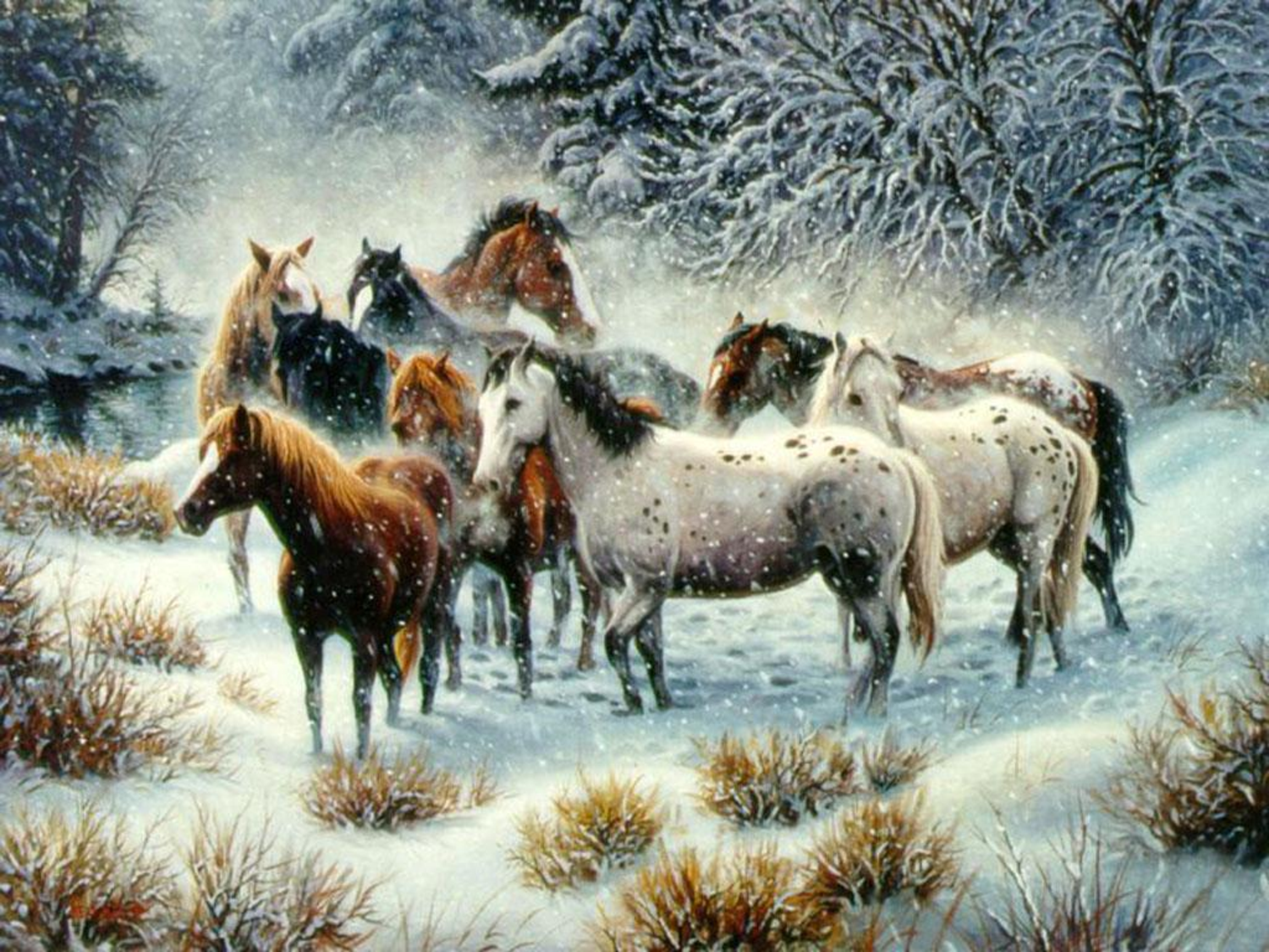 Winter Snow Scenes With Horses Wallpaper Best HD