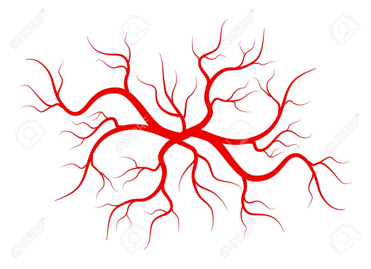 Creative Vector Illustration Of Red Veins Isolated On Background