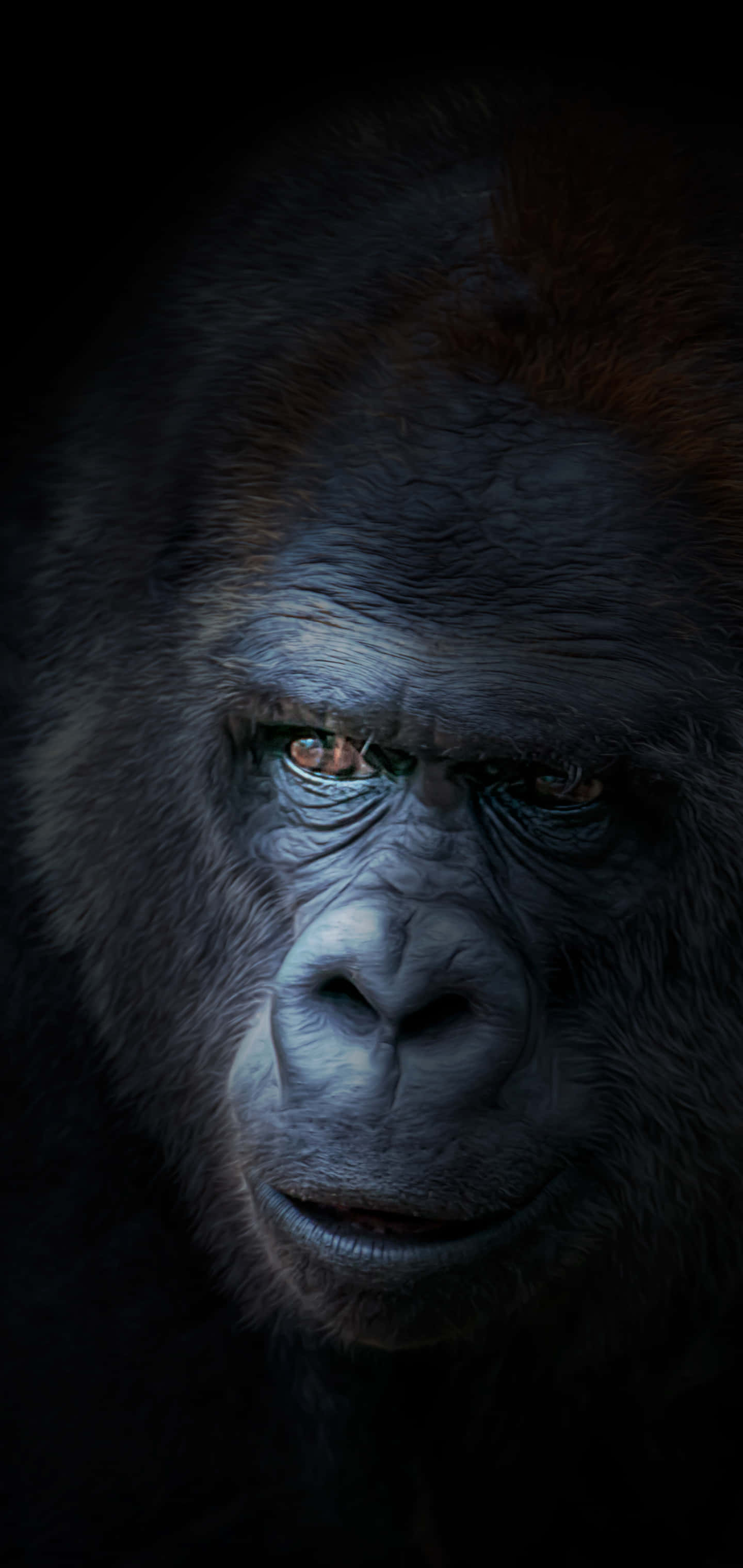 iPhone Xs Gorilla Background X Wallpaper
