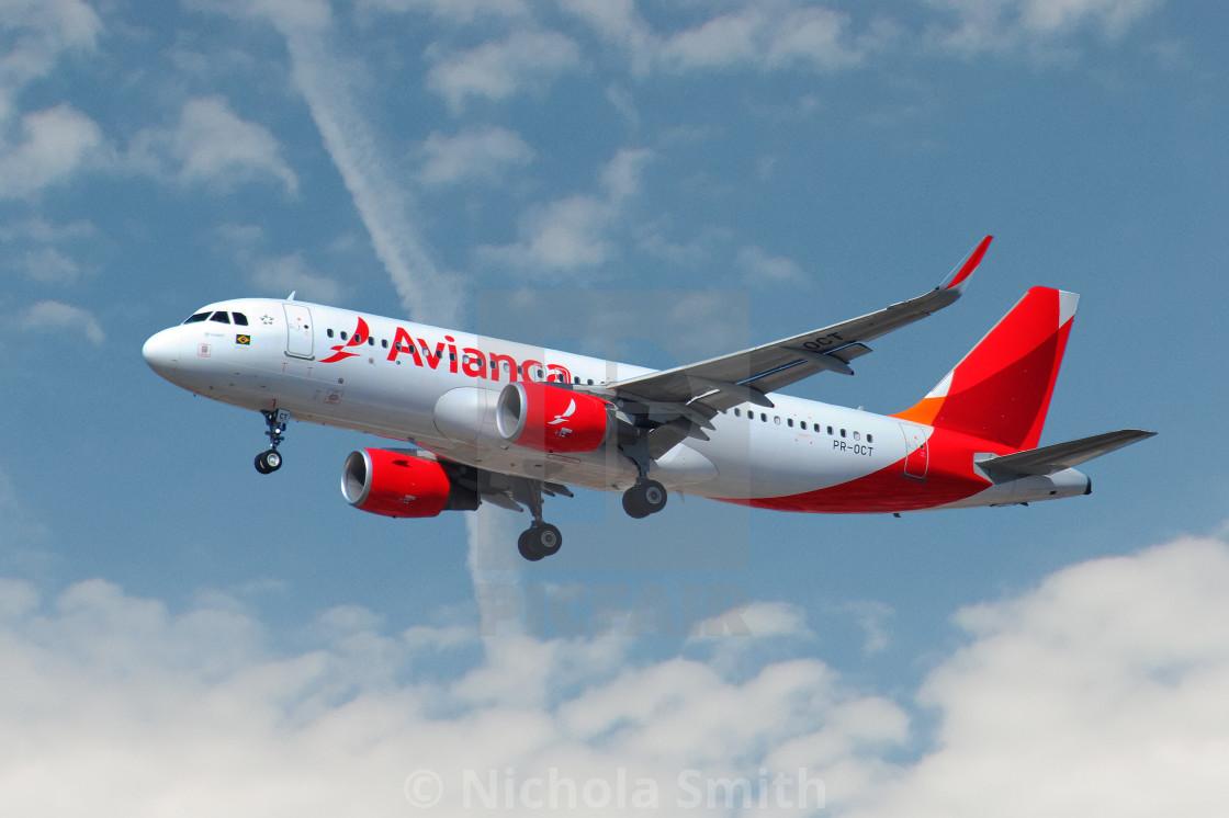 Avianca Airbus A320 License Or Print For