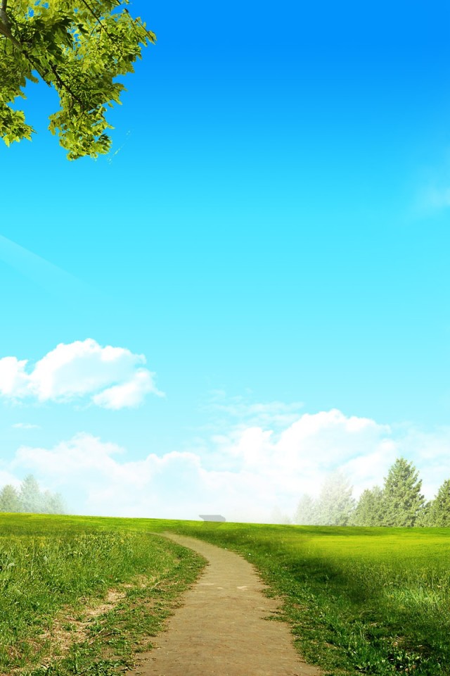 Country Road In Spring HD Wallpaper