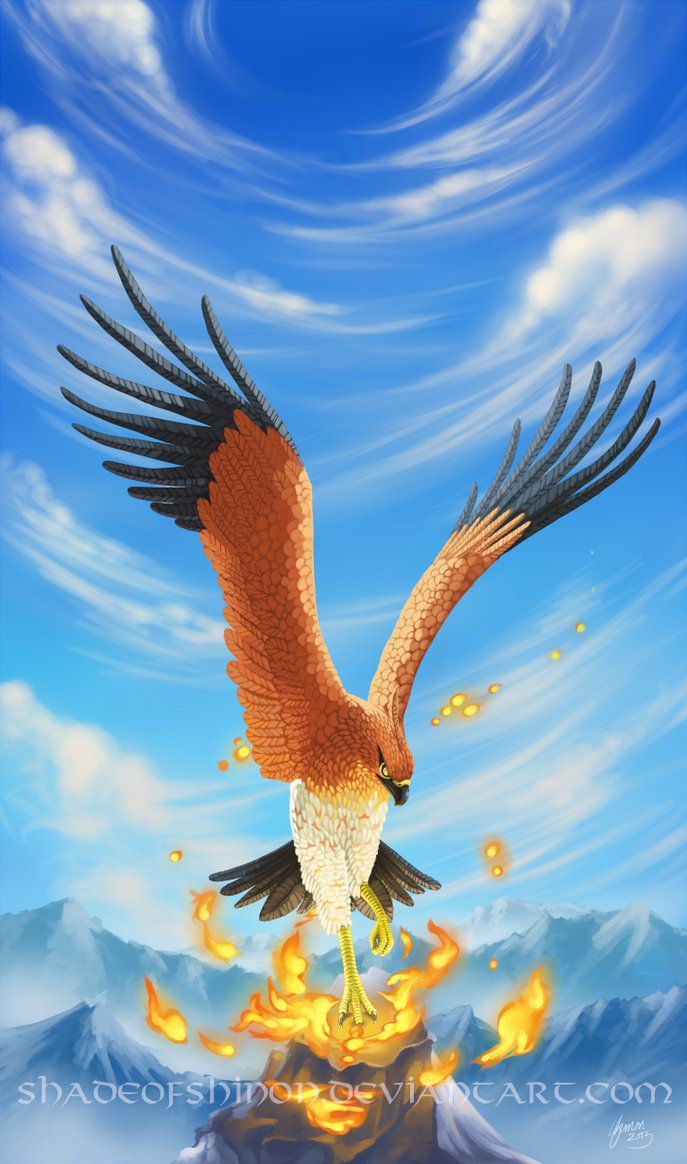 Talonflame by ShadeofShinon on