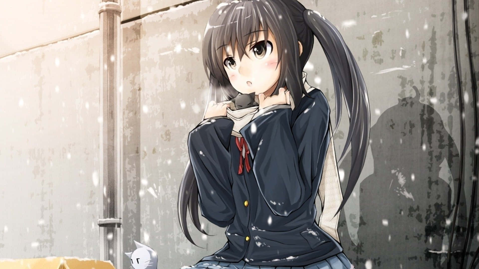 Beautiful Sad Anime Wallpaper