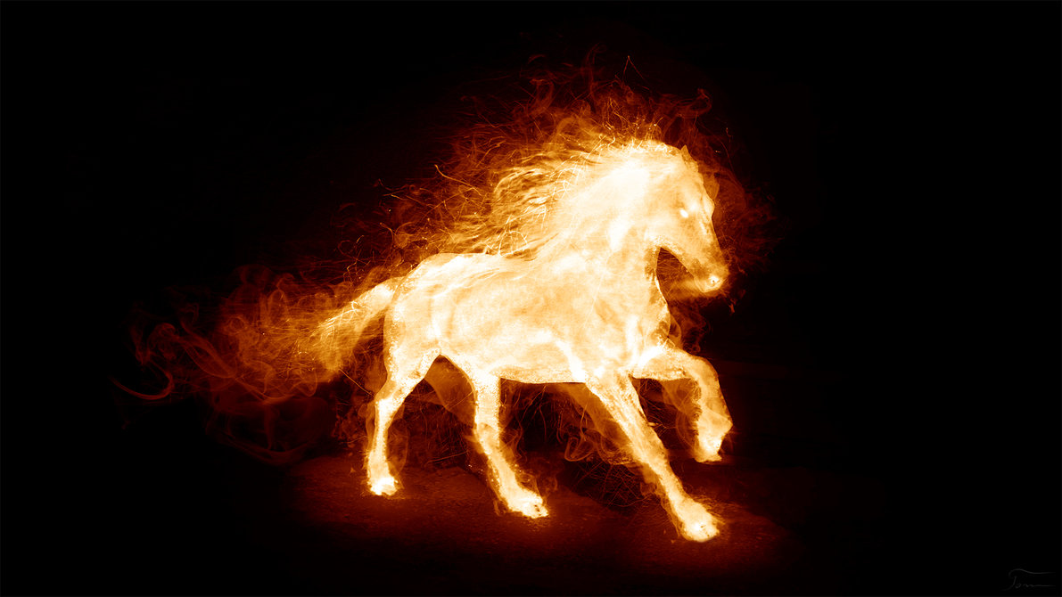 Wallpaper HD Fire Horse X Kb Jpeg
