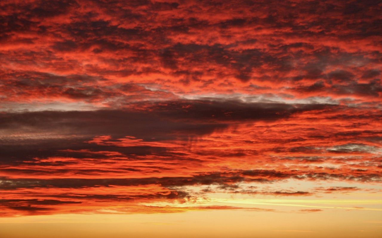 Free download Red Sky Background free red sky wallpaper free red sky  windows [1280x800] for your Desktop, Mobile & Tablet | Explore 50+ Free  Windows Background | Windows Free Backgrounds, Free Windows