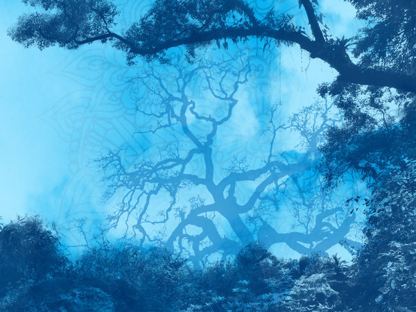 Blue Nature Theme Wallpaper By Iamablue Monkey