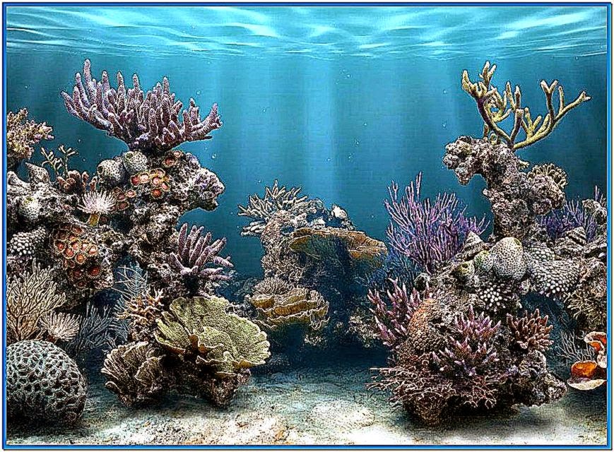 3d Aquarium Screensaver Wallpaper Best HD