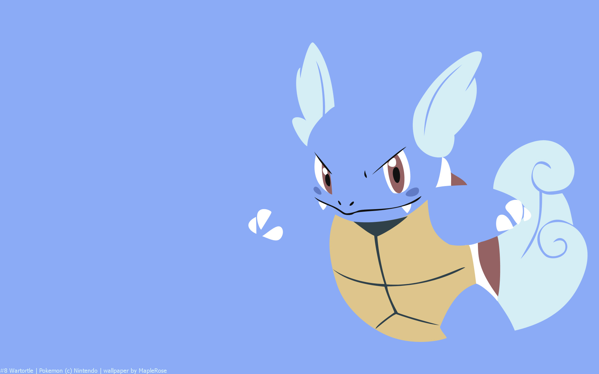Wartortle Pokemon HD Wallpaper