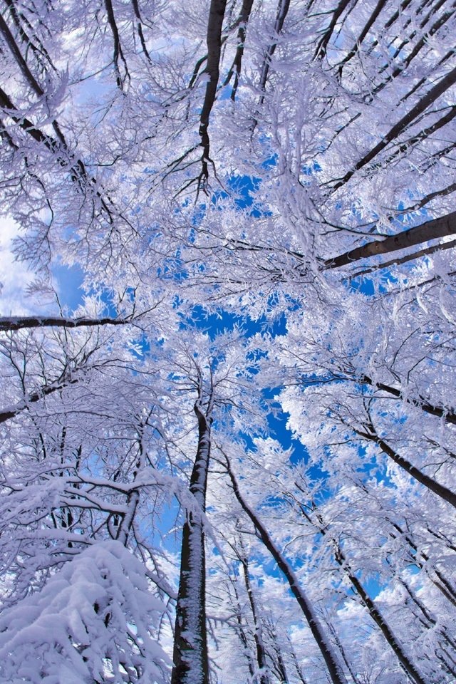 Free download 42] Winter iOS Wallpaper on [640x960] for your Desktop ...