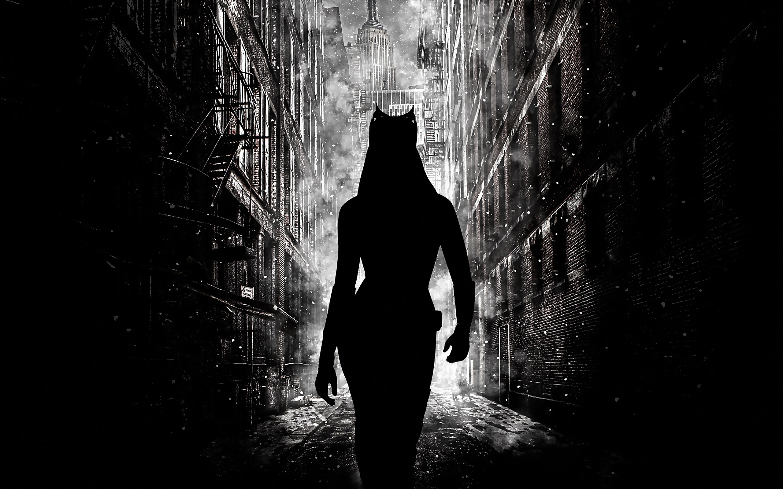 Bw The Dark Knight Rises Catwoman Wallpaper Black And