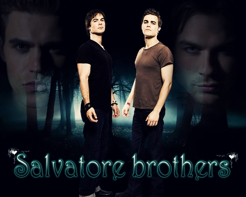 Damon and Stefan Salvatore images Damon and Stefan wallpaper photos 800x640