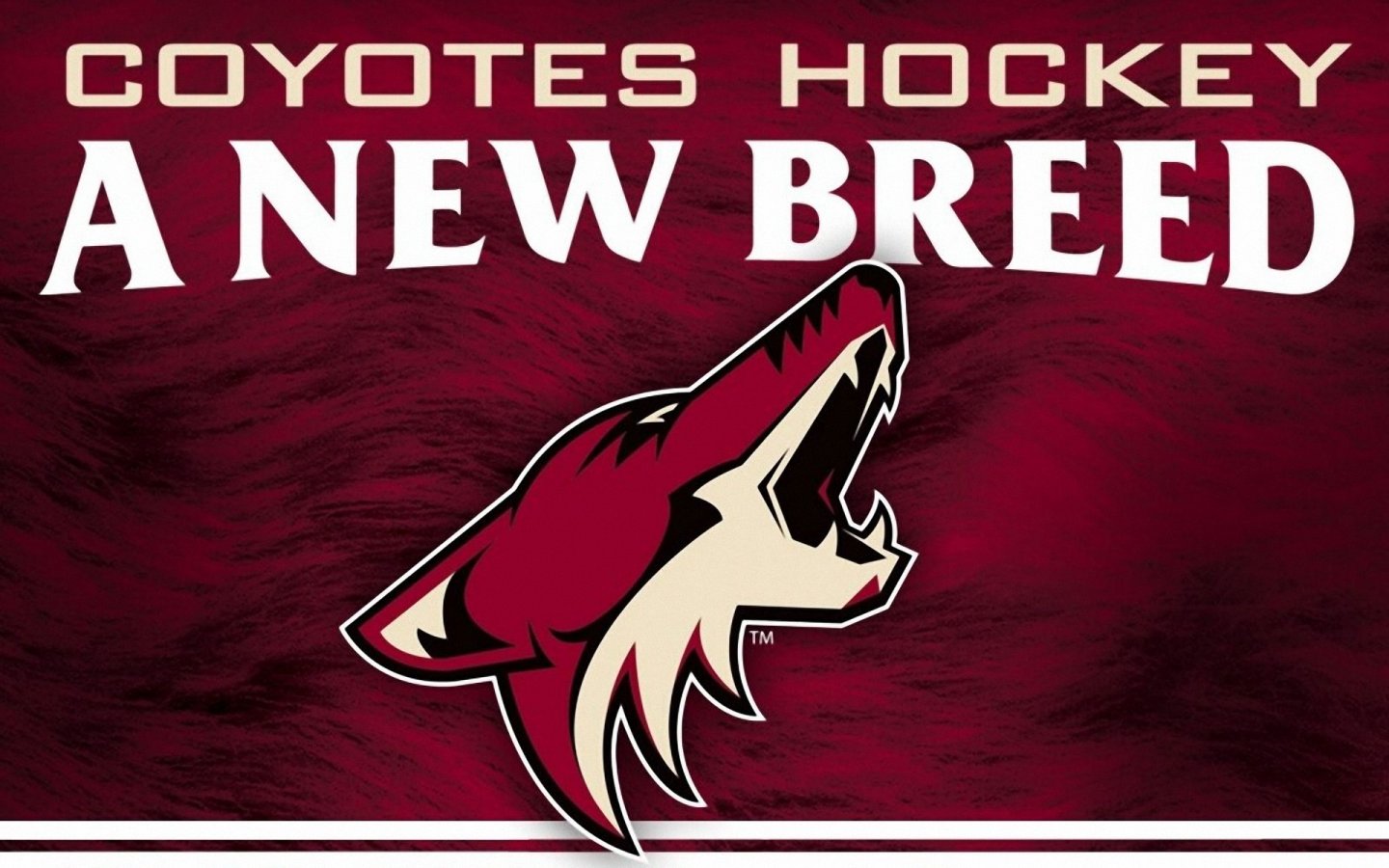 Ice Hockey Phoenix Coyotes Wallpaper