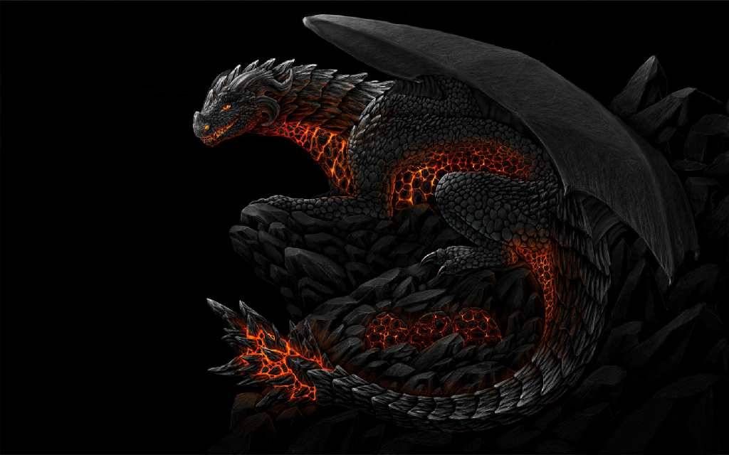 Black dragon   Dragons Wallpaper