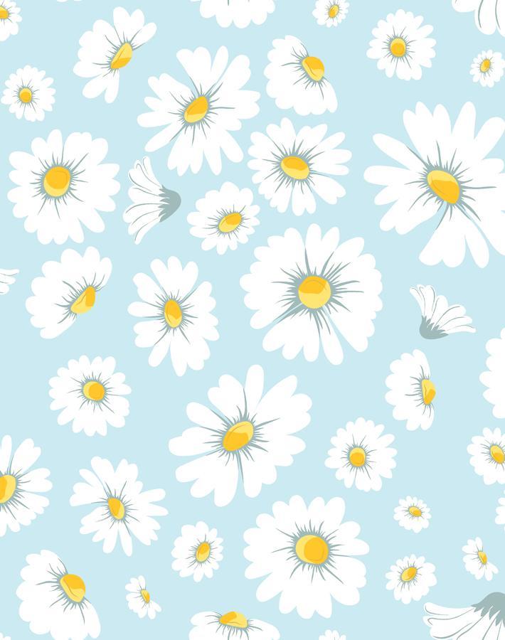 Daisy Bloom Wallpaper Baby Blue Floral Peel And Stick