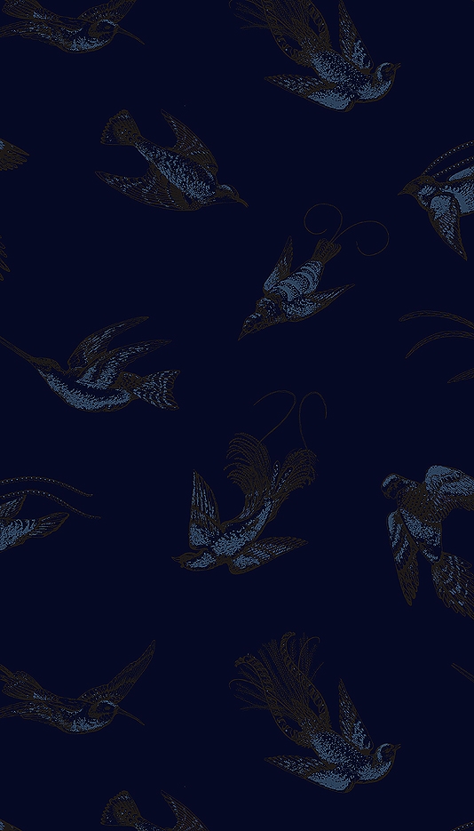 Colours Metallic Blue And Black Print On A Midnight Background