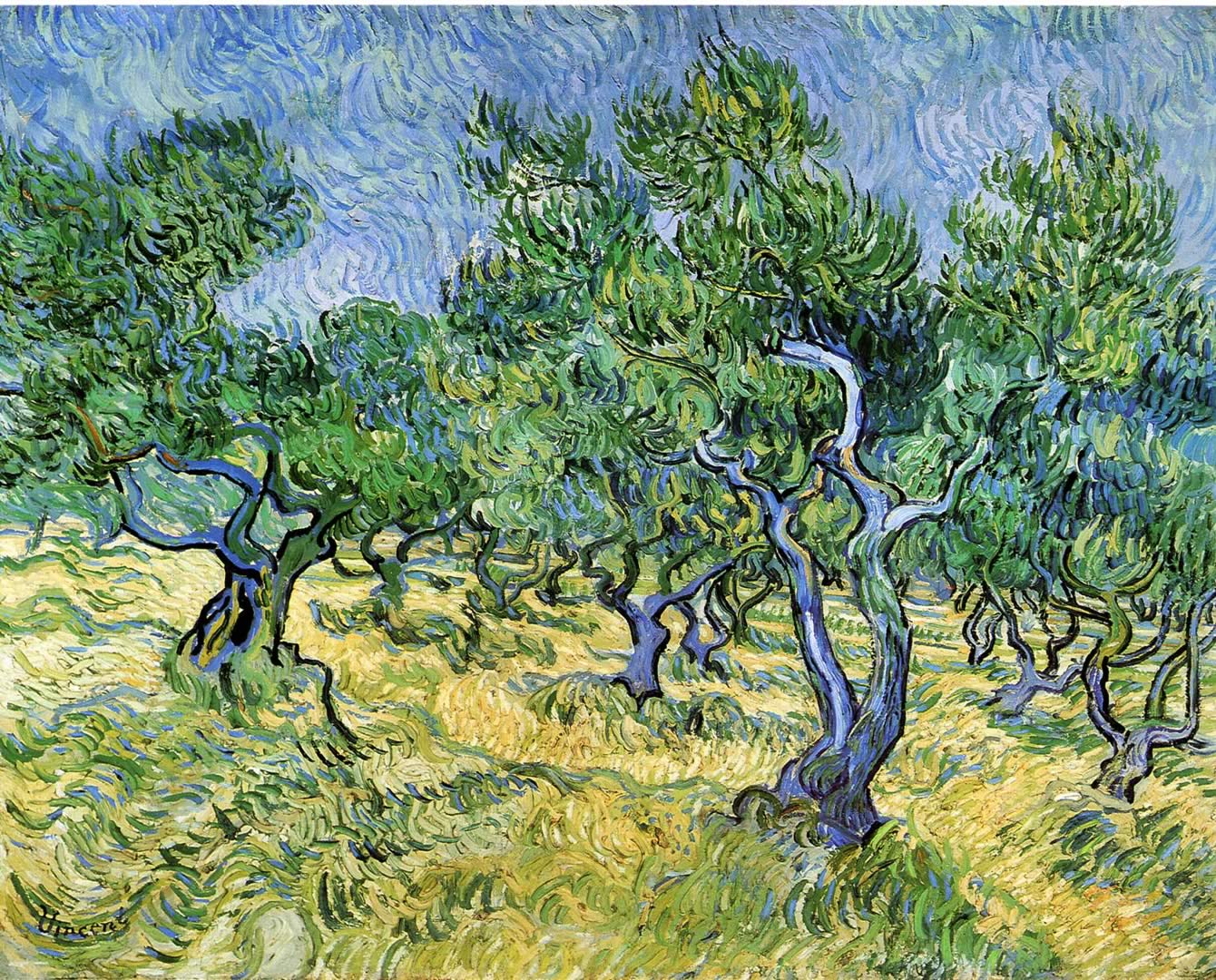 Grove A Post Impressionist Vincent Van Gogh Art Wallpaper Picture