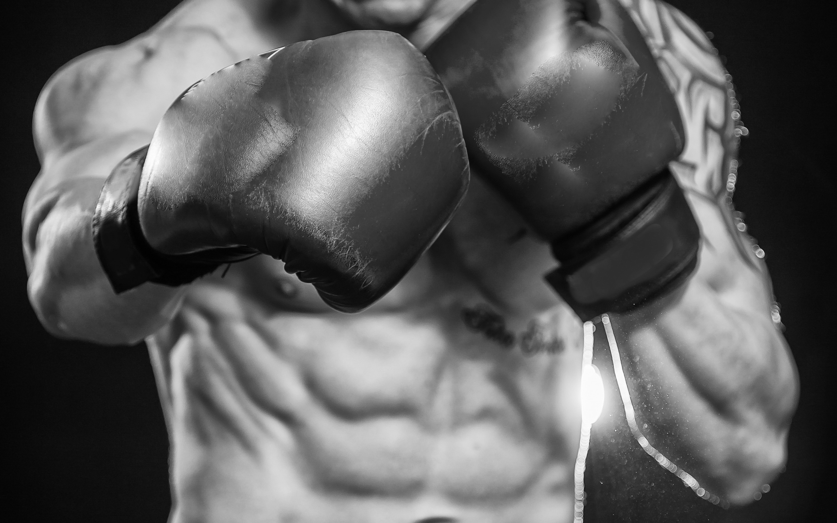 Boxing Abs Wallpapers   2880x1800   732652