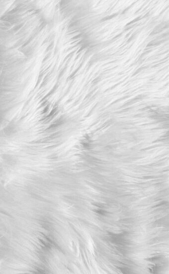 Fur Wallpaper HD