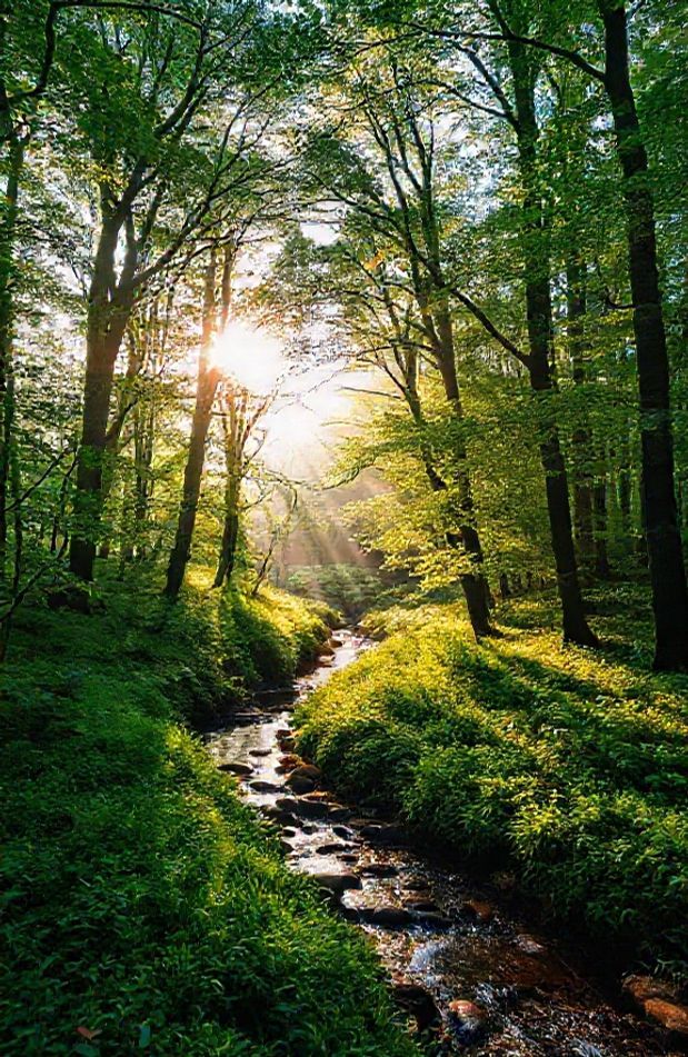 Hd Wallpaper Of Nature