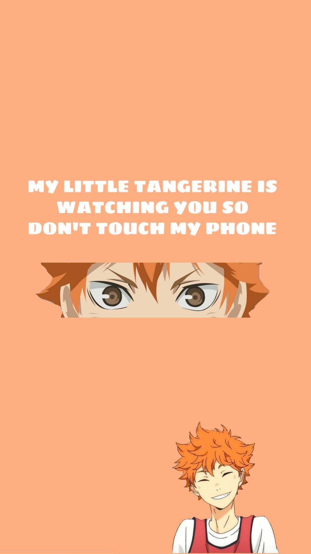Shoyo Hinata Wallpaper