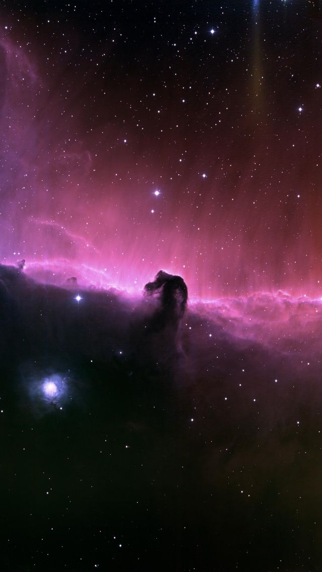 Awesome iPhone Wallpaper Horsehead