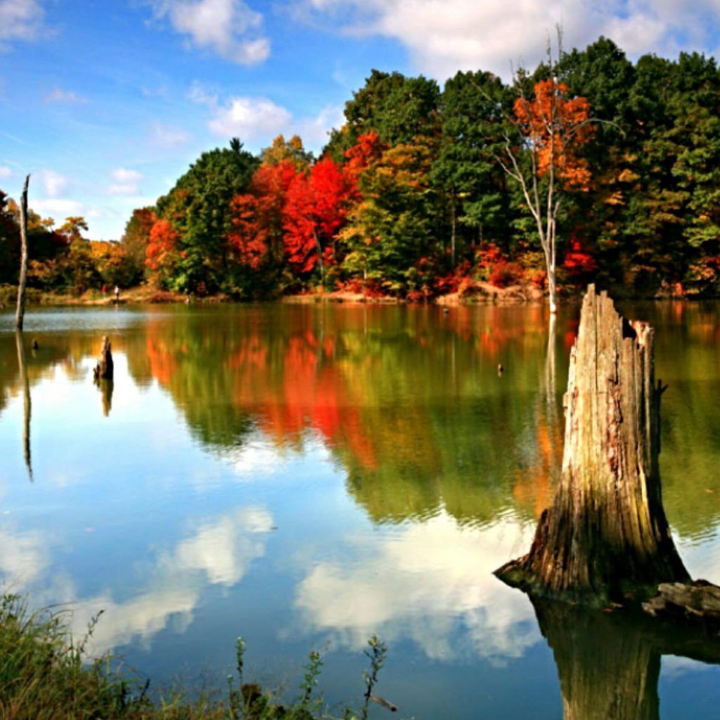 Alum Creek State Park Delaware Ohio Autumn