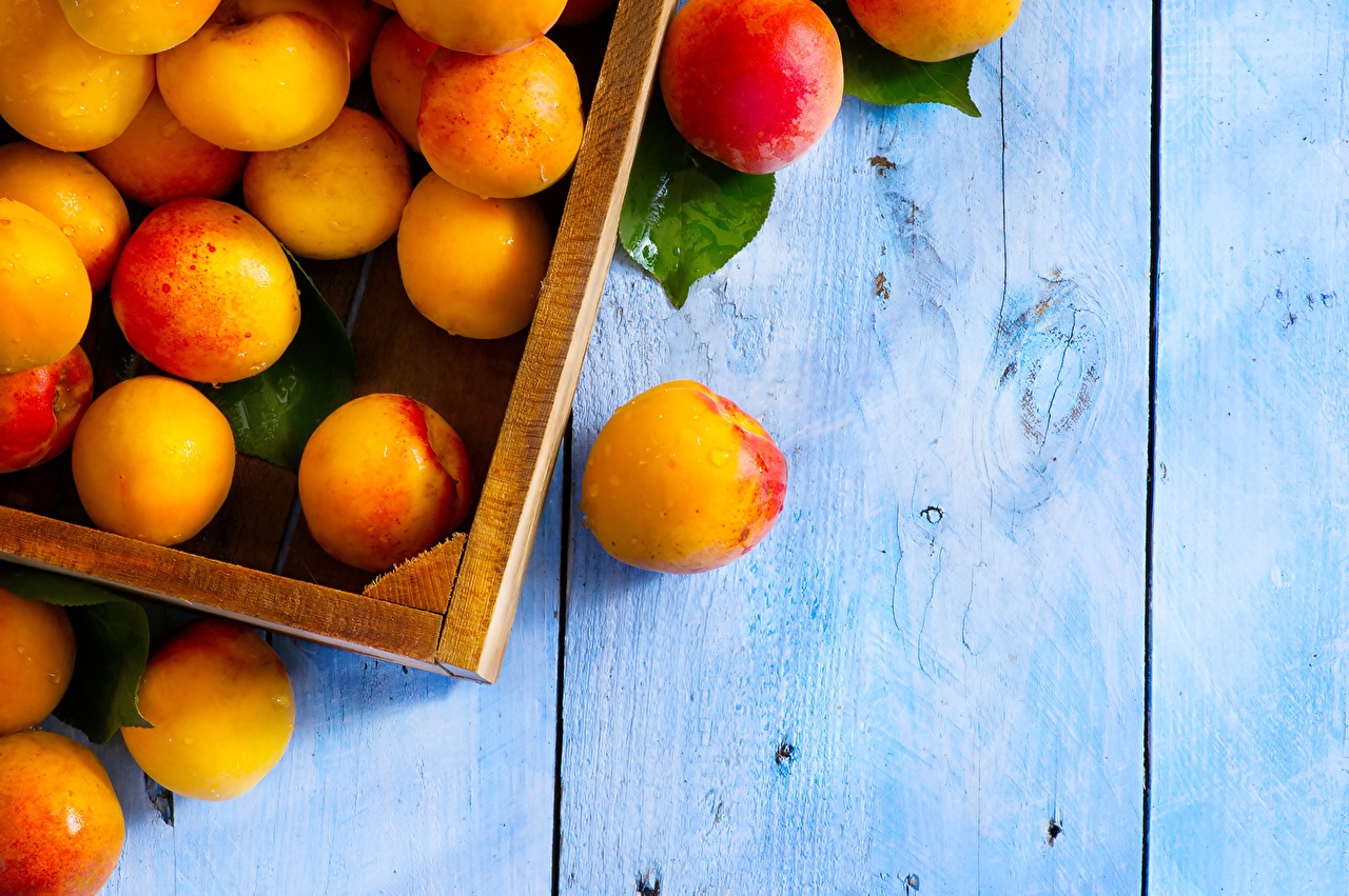 Apricot Wallpaper And Background Image Wallpaperkingdom