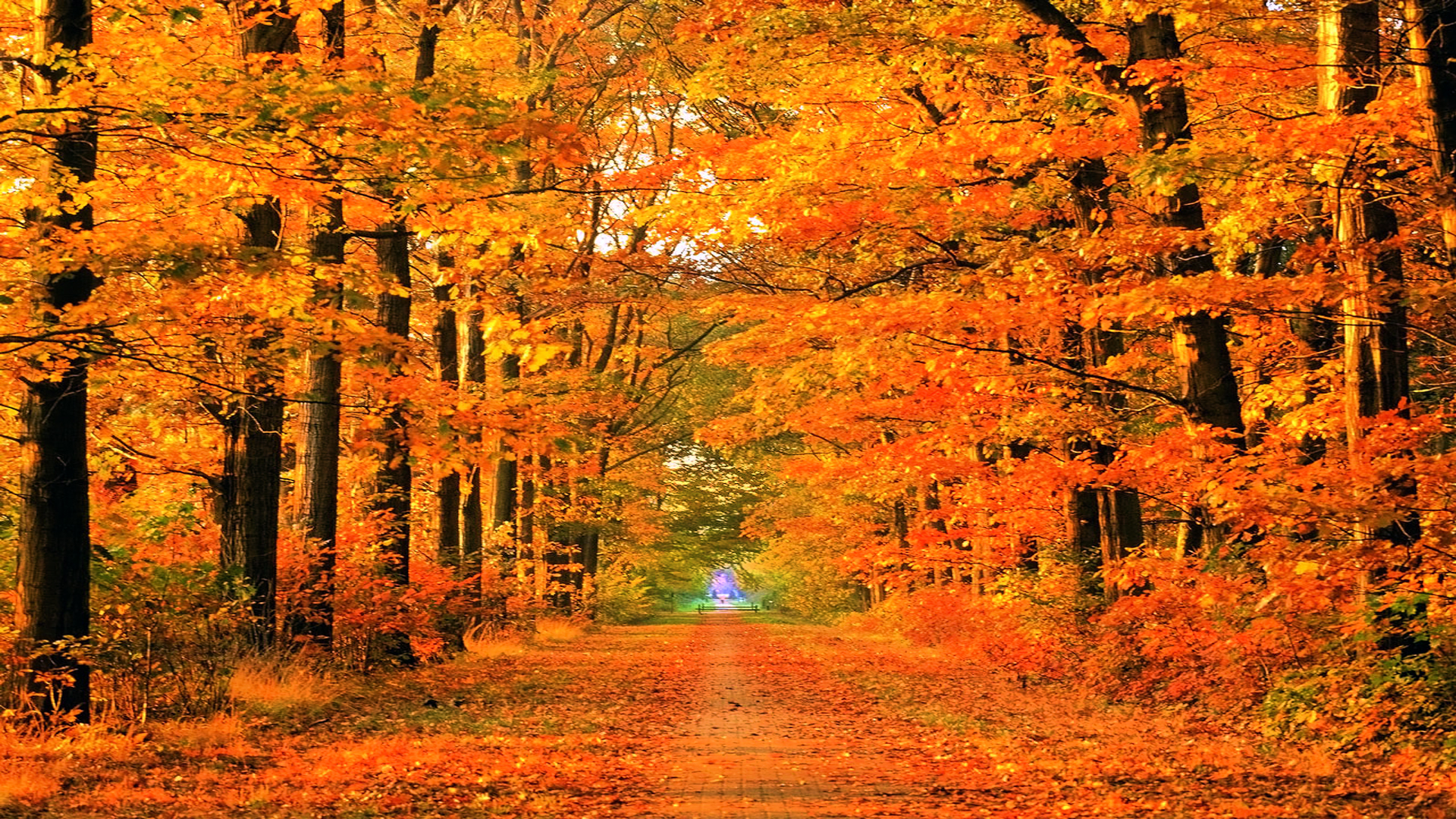 Autumn Road Desktop Wallpaper Ing Gallery