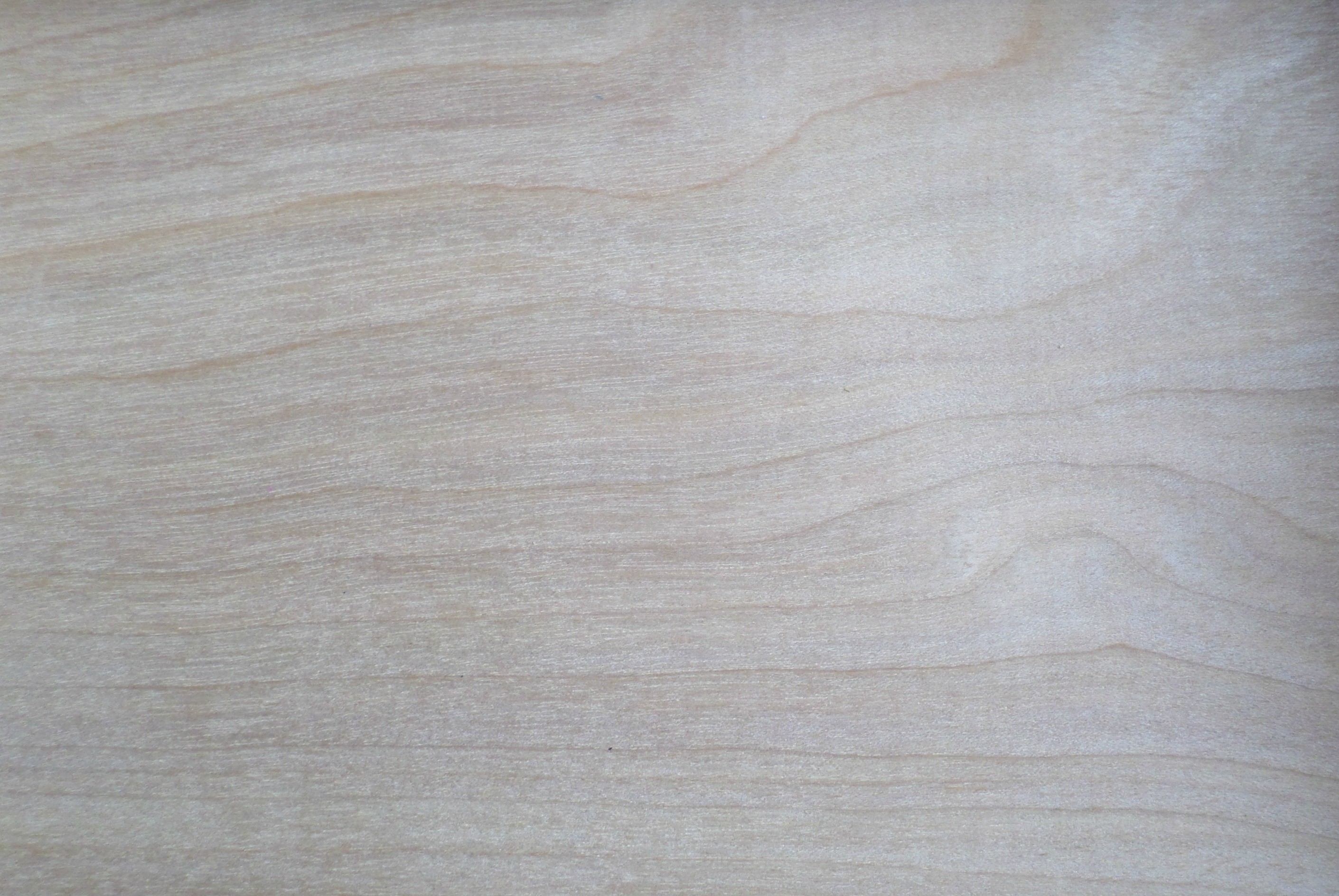 Neutral Colors Wallpaper