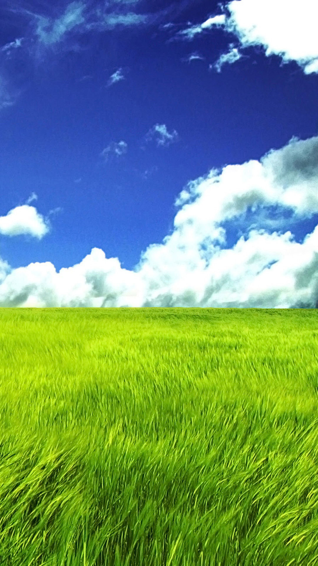 Green Grassland HD Samsung Galaxy S4 Wallpaper