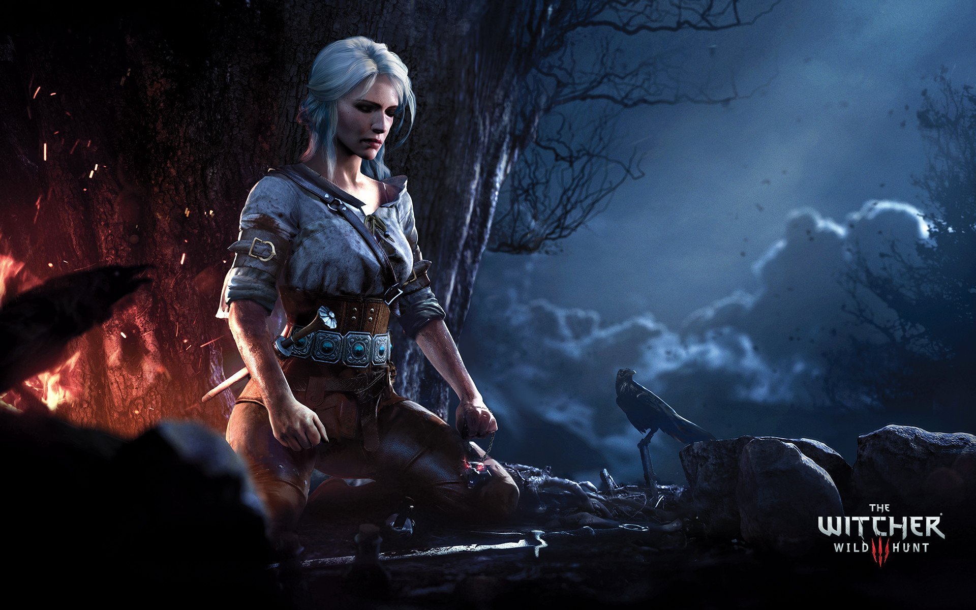 The Witcher Wild Hunt Ciri Wallpapers HD Wallpapers