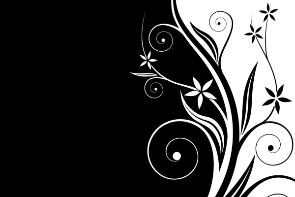 Black White Floral And Background
