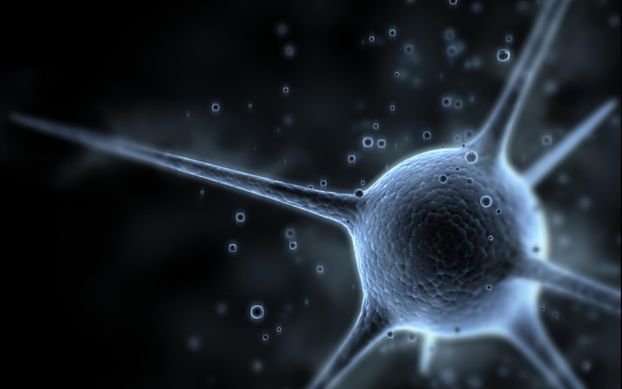 Science Neuron Wallpaper