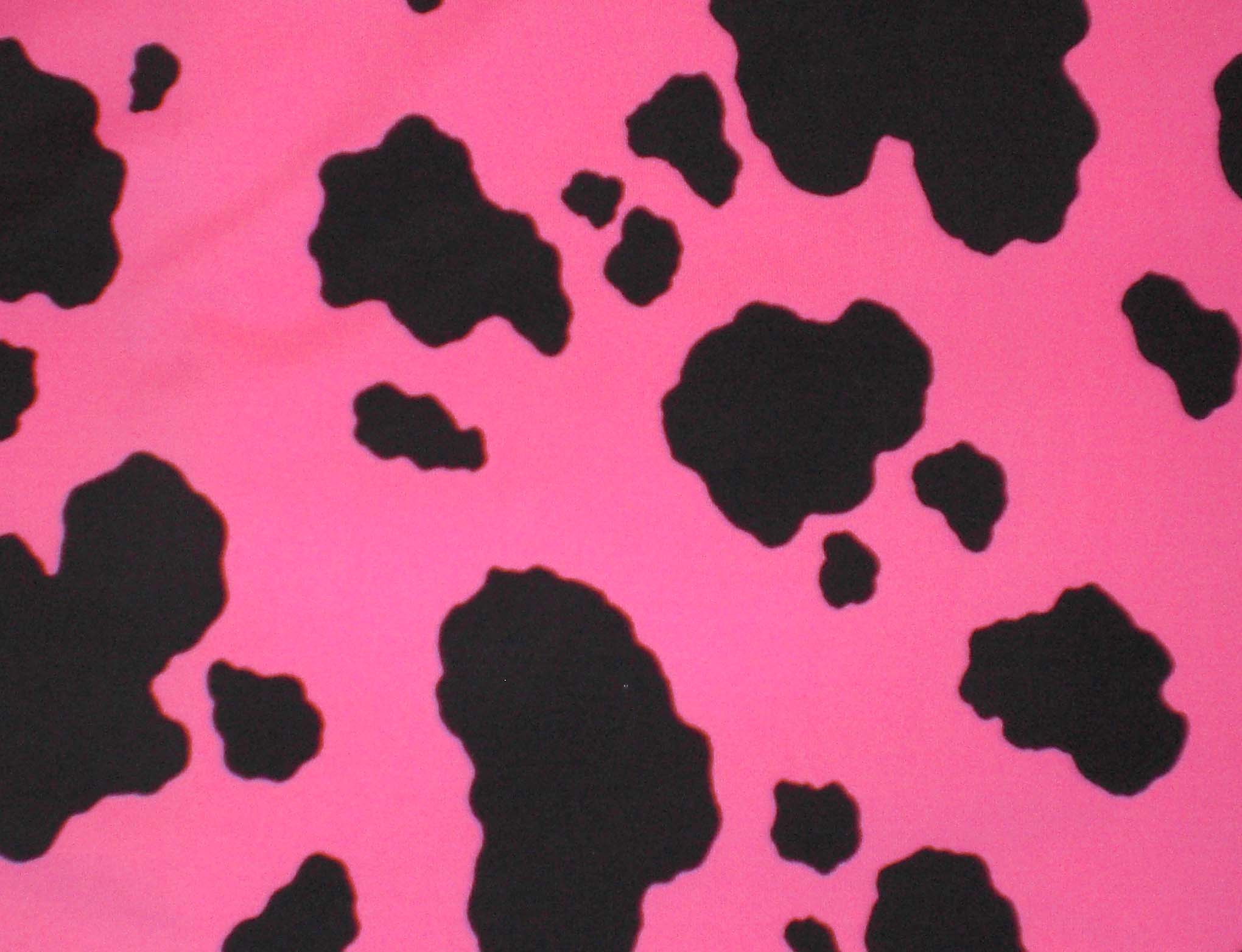 Cow Print  Pink Wallpaper Download  MobCup