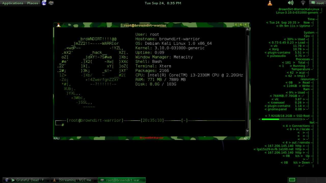 Displaying Image For Kali Linux Desktop