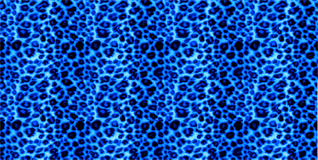 Group of blue cheetah print wallpaper We Heart It
