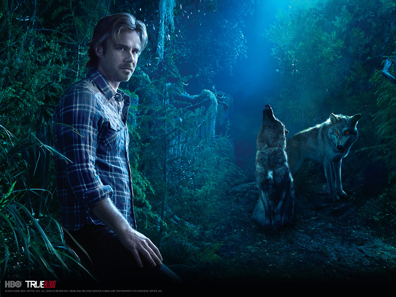 True Blood images Season 3 HD wallpaper and background