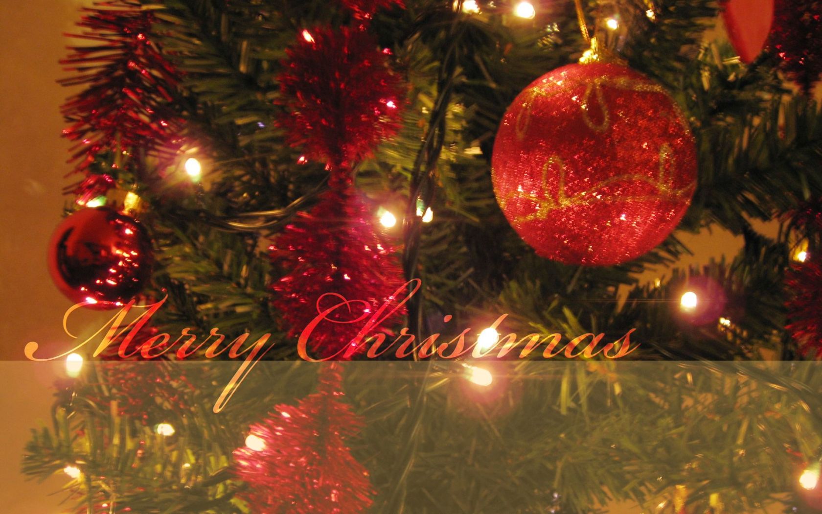 Christmas Tree Merry Christmas 1680x1050 iWallHD Wallpaper HD