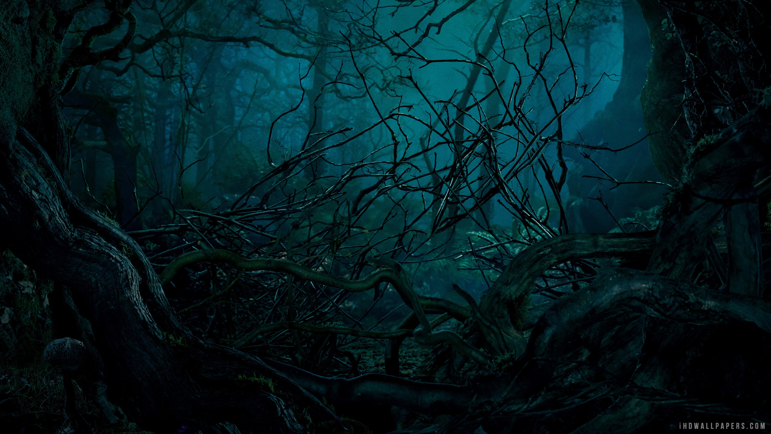 Into The Woods Movie HD Wallpaper IHD