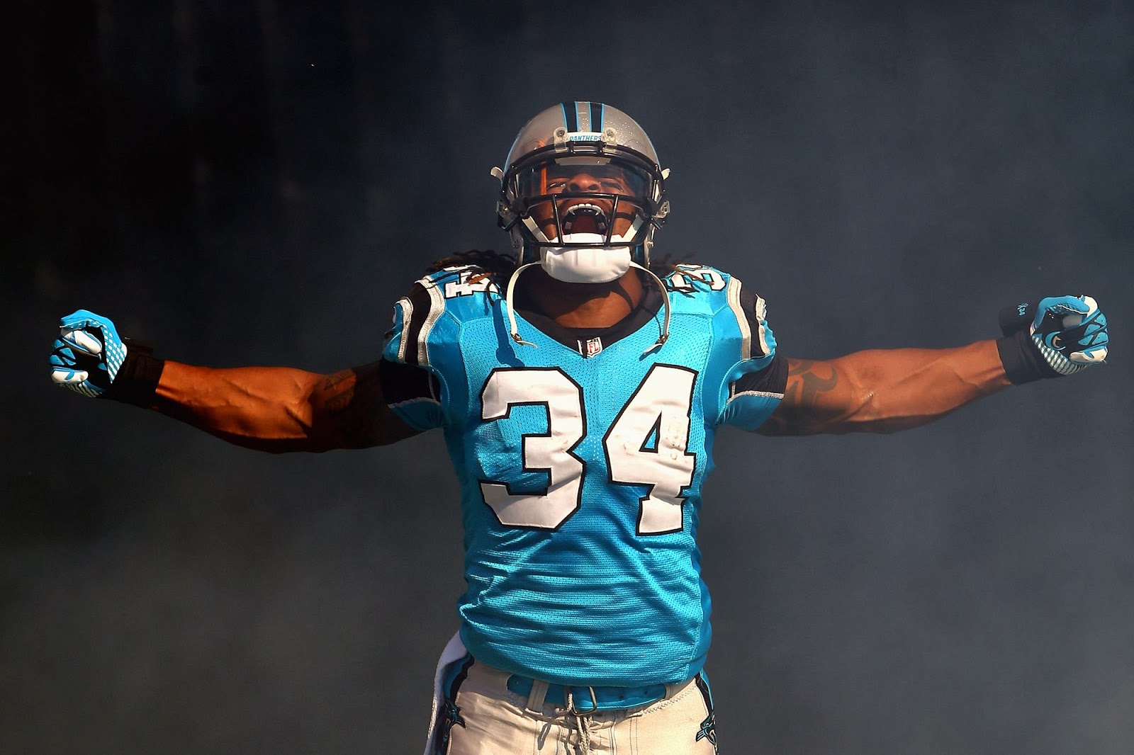 Carolina Panthers Pictures HD Wallpaper Window Top Rated