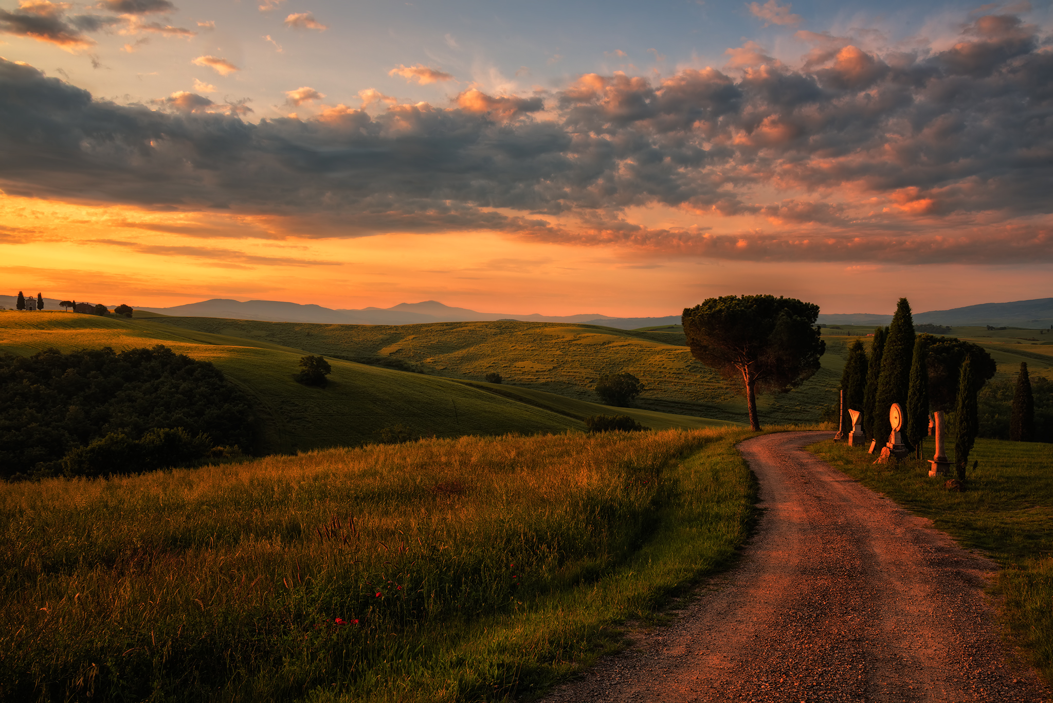Colline Toscane Wallpaper