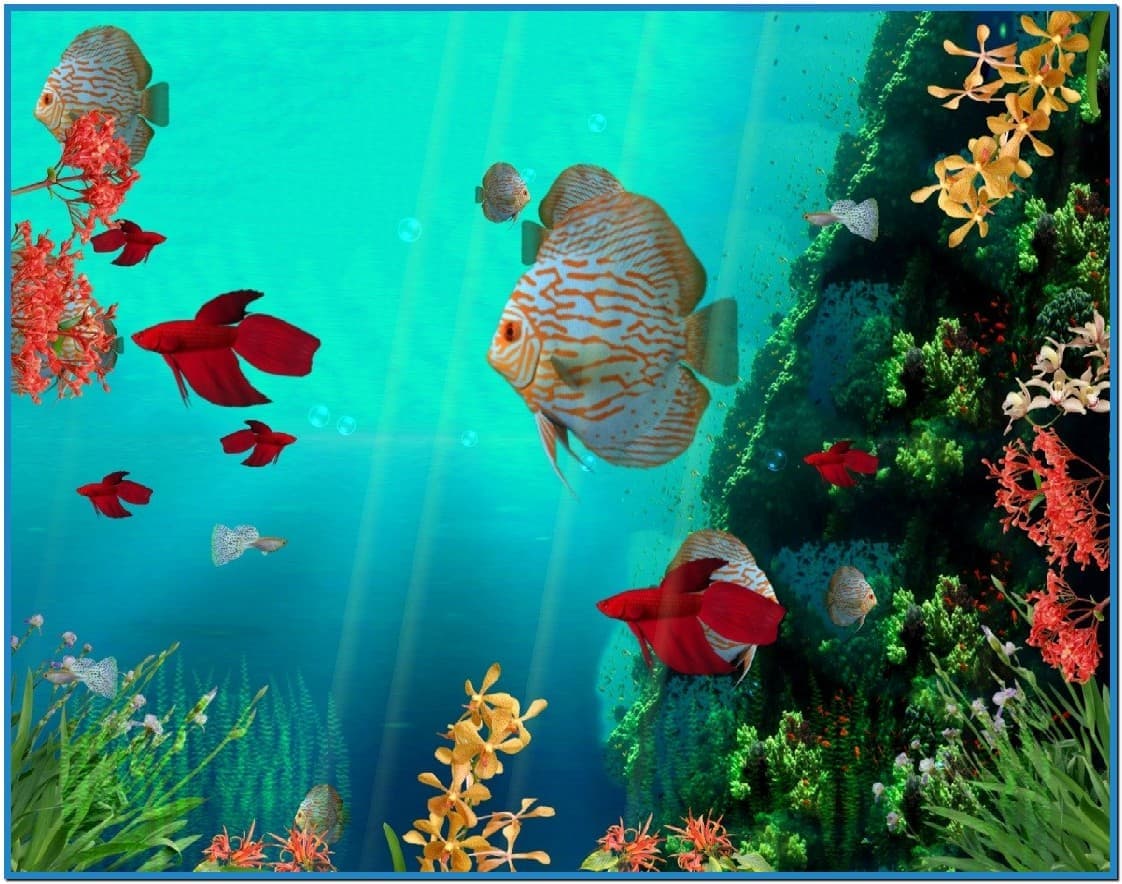 Screensaver Aquarium Coral