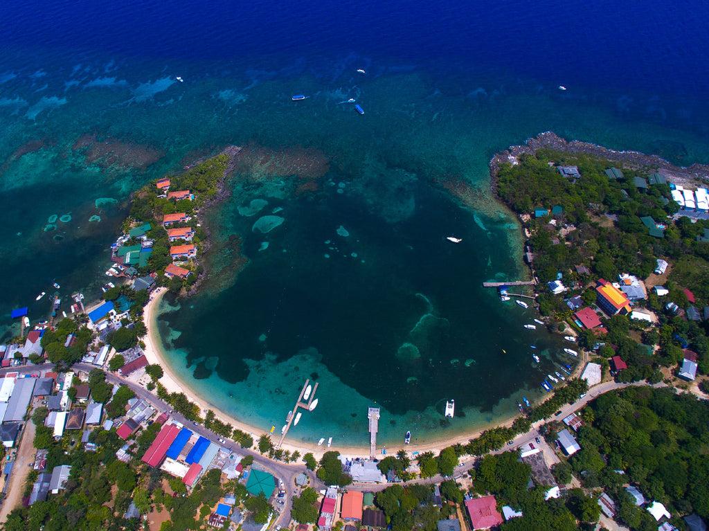 An Insider S Guide To Diving Roatan Bay Islands