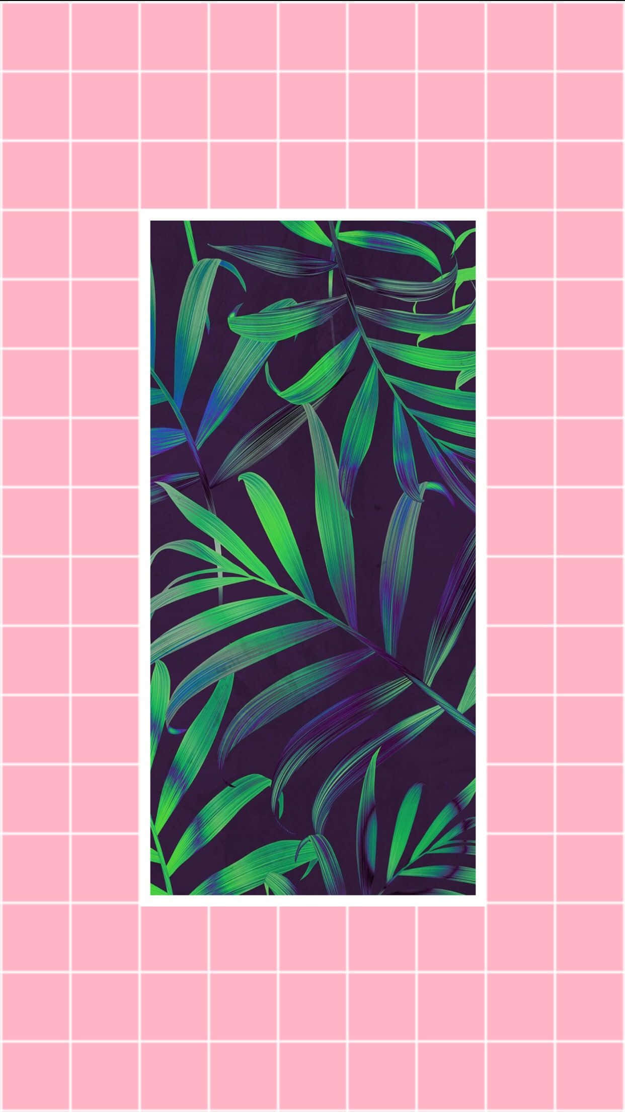 Plant Aesthetic Phone Wallpaper