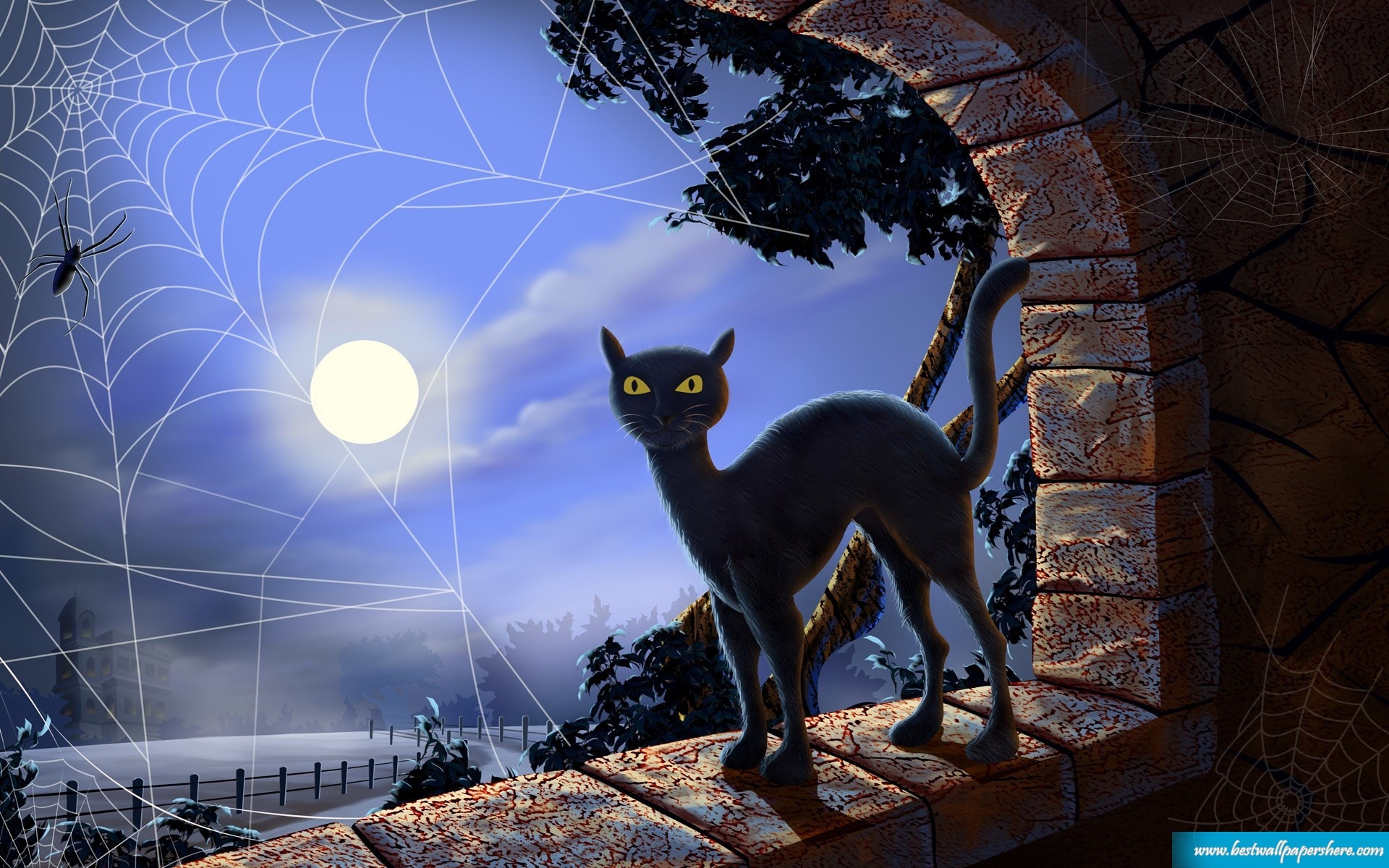Halloween Cat Wallpaper