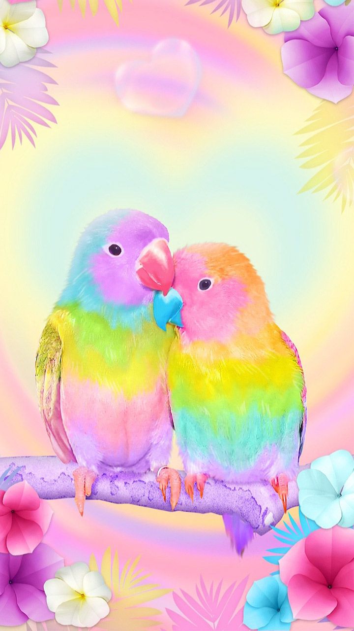 3d Cute Colorful Lovebirds Parrot Gravity Theme Install On