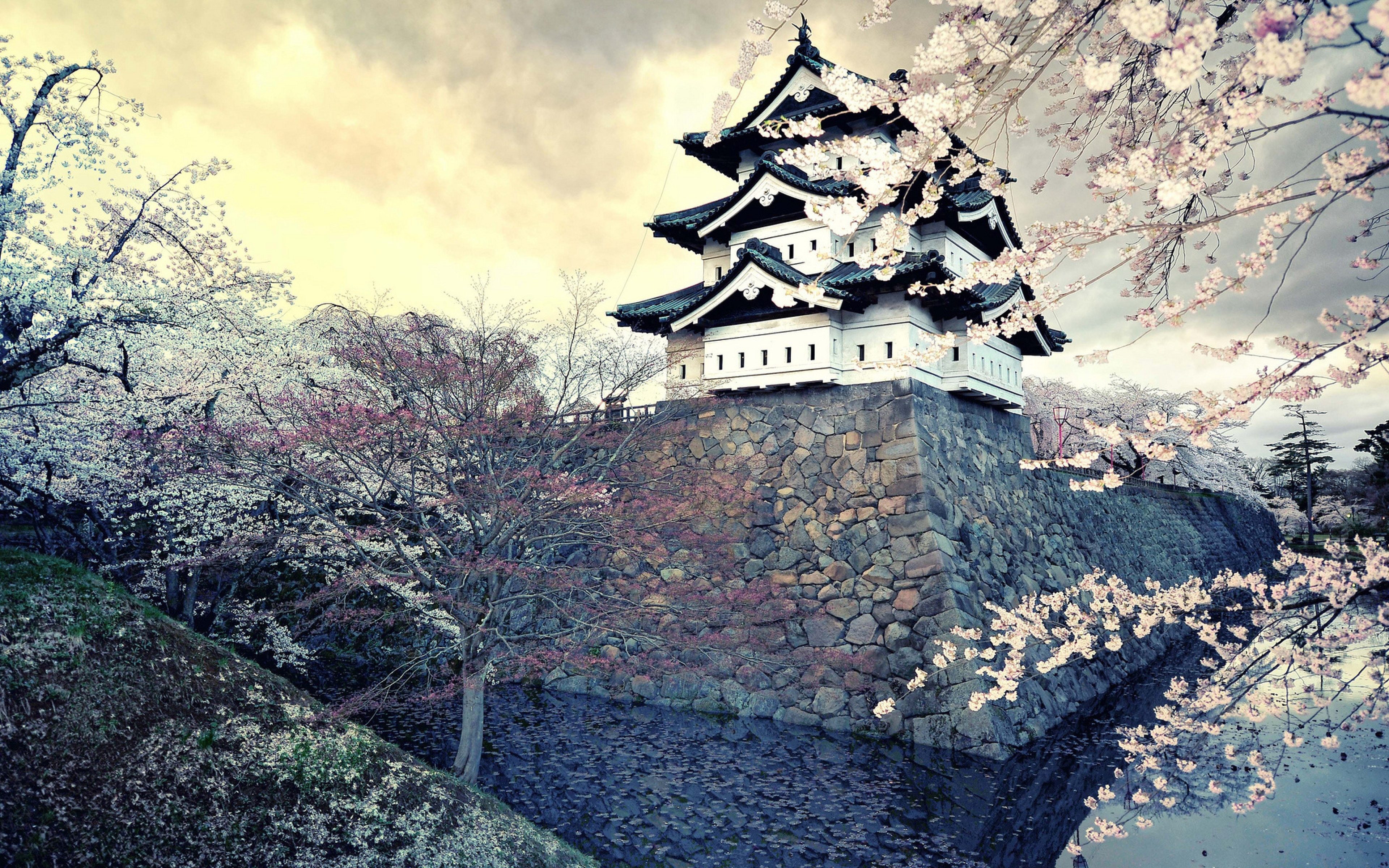  City Sakura Japan Spring Wallpaper Background Ultra HD 4K