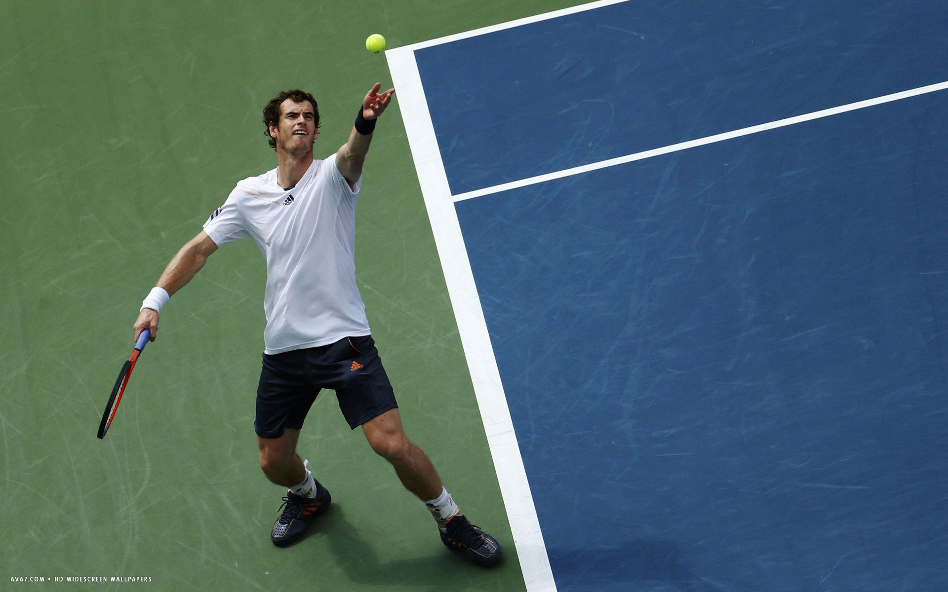 Andy Murray Tennis Player HD Widescreen Wallpaper Male