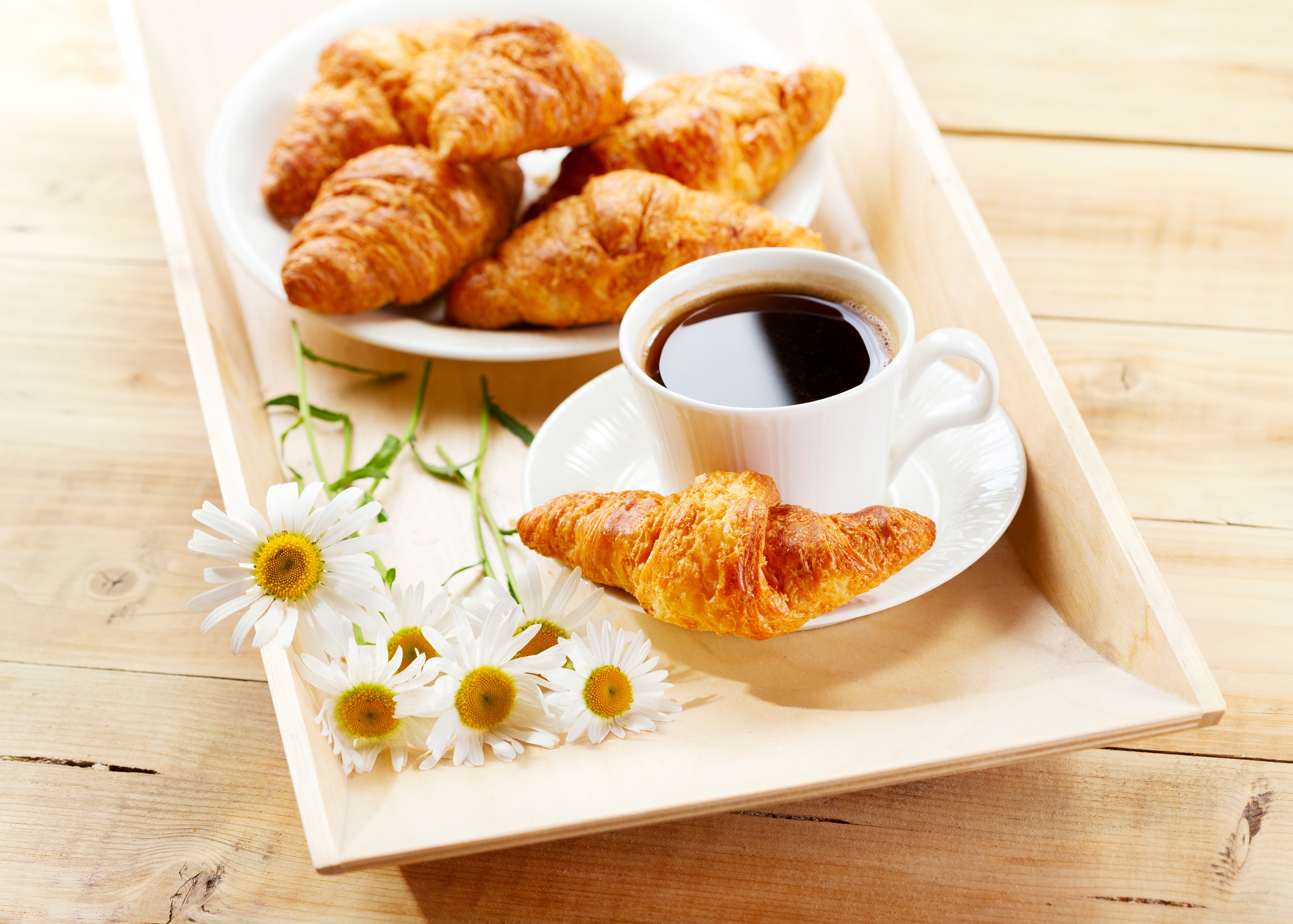 Croissant 4k Ultra HD Wallpaper And Background