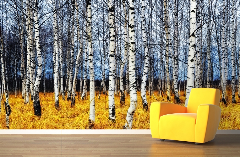 Yellow Forest Floor Wall Mural Custom Made To Fit Your Size